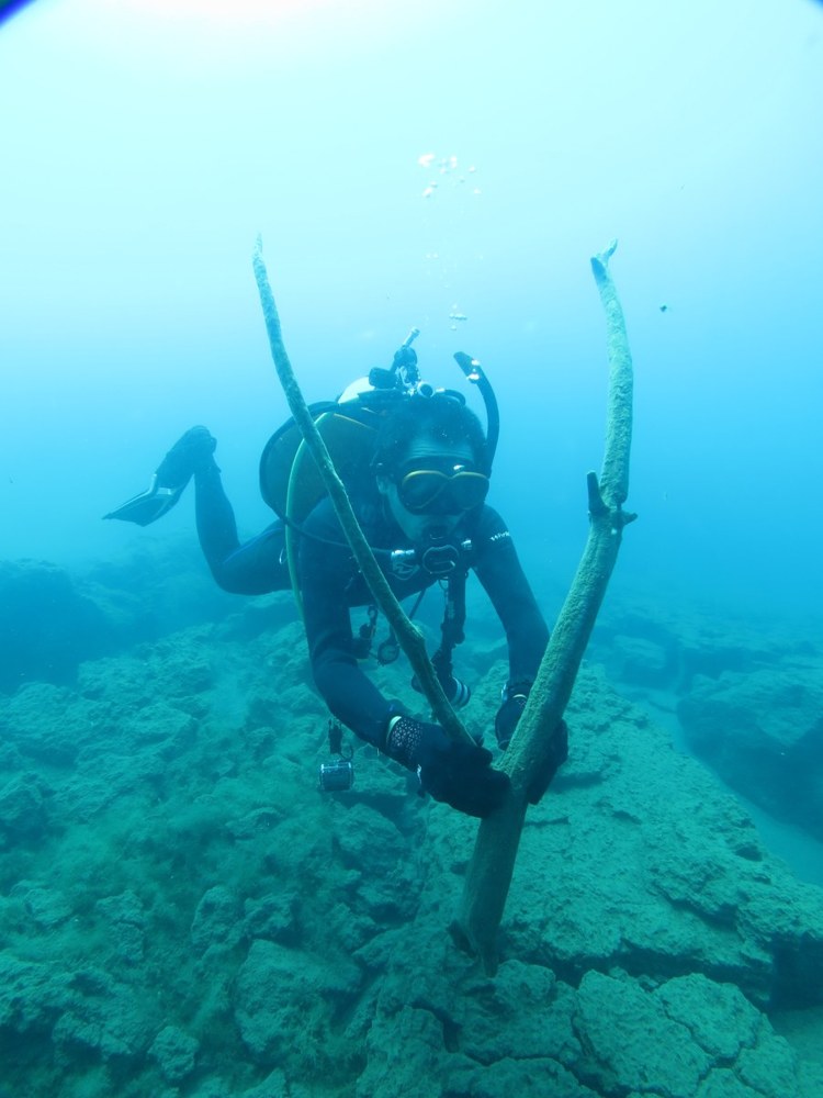 光が差し込む本栖湖の透明な水中とダイバー