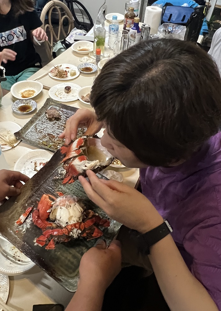 菖蒲沢 伊豆 ダイビング 沈船 ソフトコーラル