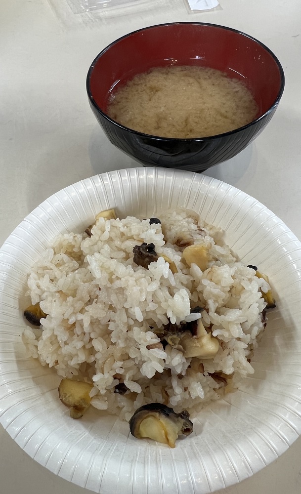 菖蒲沢 伊豆 ダイビング 沈船 ソフトコーラル