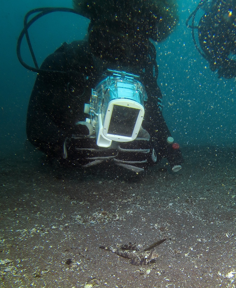PADI　AOW　講習　ダイビング　イッポンテグリ
