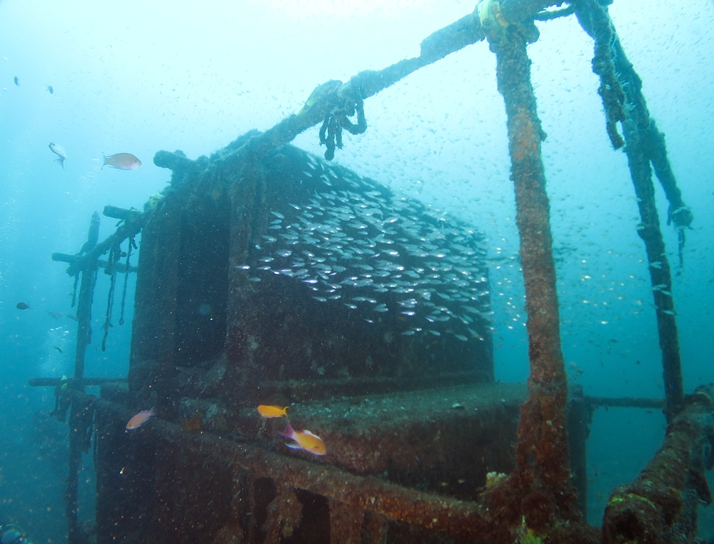 PADI　AOW　講習　ダイビング　