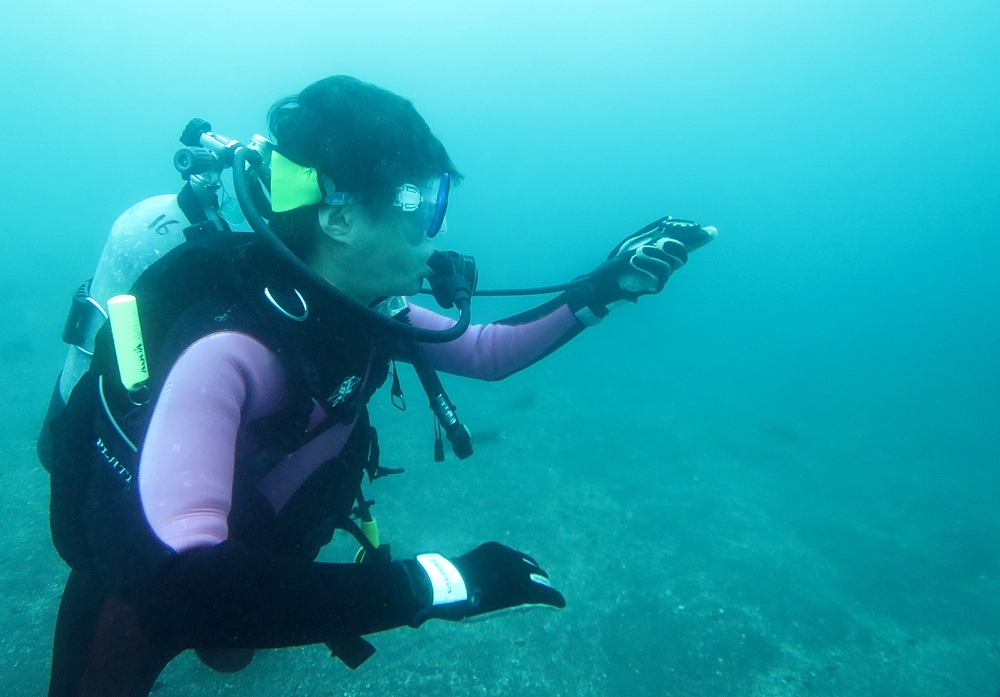 PADI　AOW　講習　ダイビング　コンパスナビゲーション