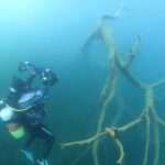 本栖湖　ダイビング　高所潜水