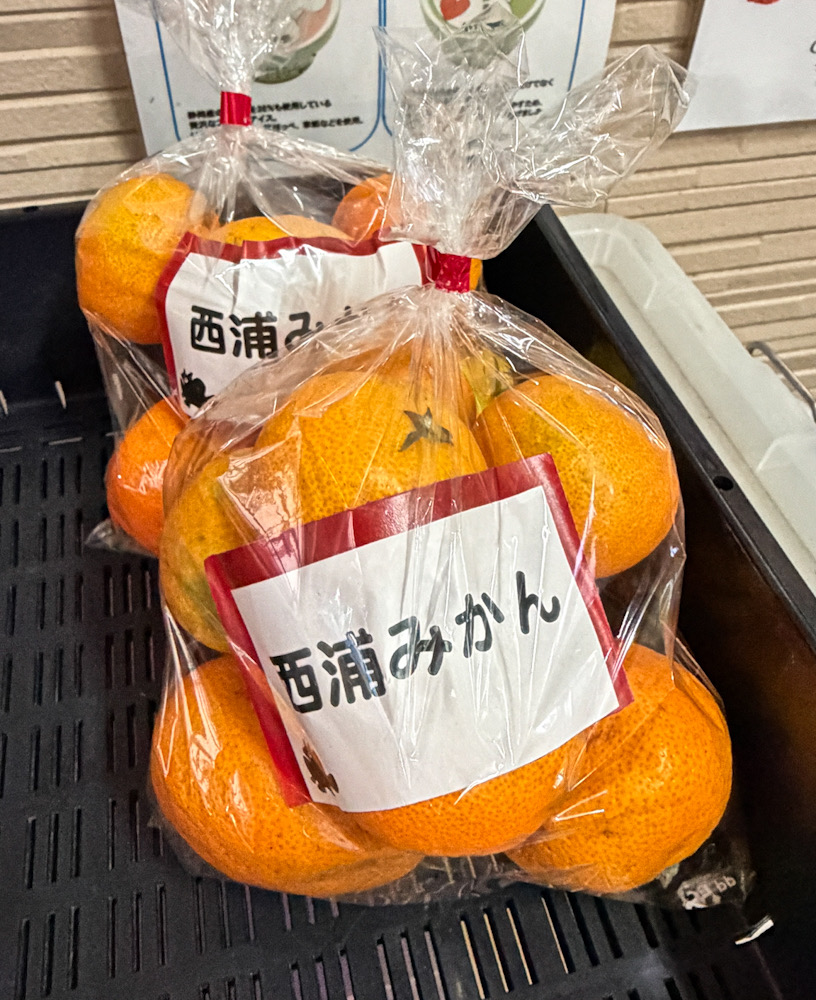 伊豆 みかん