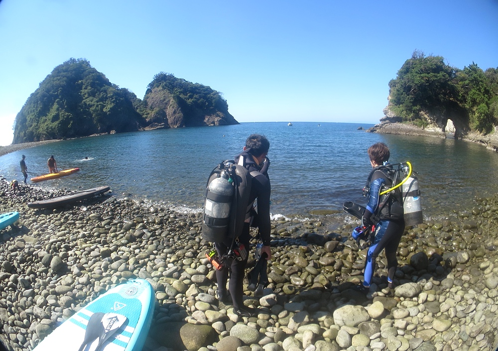 浮島　西伊豆　ダイビング　ソフトコーラル