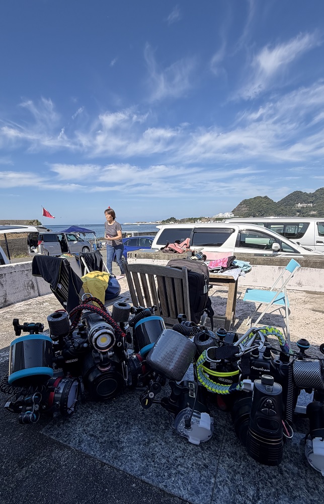 西伊豆 静浦 ダイビング エビ