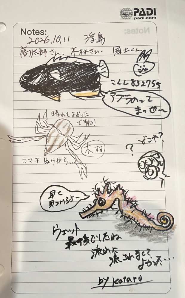 浮島　西伊豆　ダイビング　ソフトコーラル