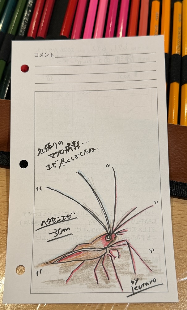 西伊豆 静浦 ダイビング エビ