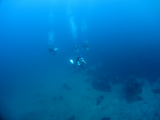 砂地の際