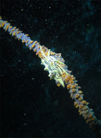 e2