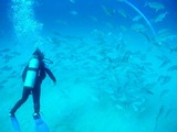 神津島4