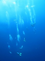 20170313063523.jpg