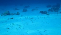 20170313070740.jpg