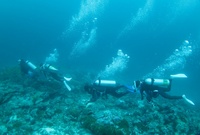 20170315124502.jpg