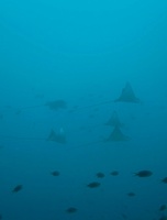20170315125231.jpg