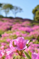 20170502155456.jpg