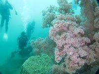 20170903112311.jpg