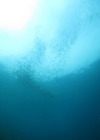 20170903112818.jpg