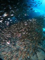 20170911112552 sakan2.jpg