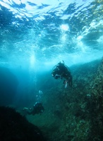20171210_120233.jpg