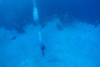 20171229_034742.jpg
