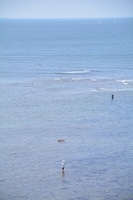 DSC_0761.jpg