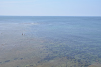 DSC_0769.jpg