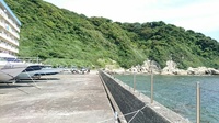 DSC_1299.jpg