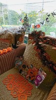 DSC_1457.JPG