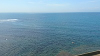 DSC_2568.jpg