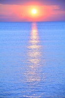 DSC_3937.jpg