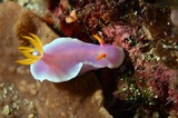 DSC_5200.JPG