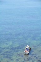 DSC_6486.jpg