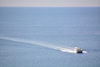DSC_6491.jpg