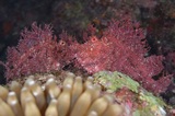 DSC_8281.JPG