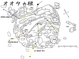 オオタカネ(ロープ).jpg