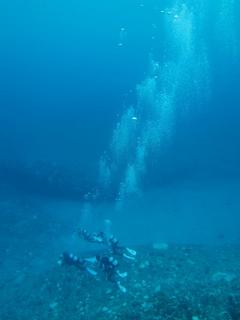 IMG_1777.jpg