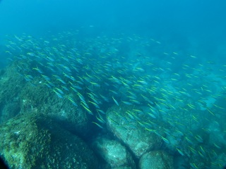 IMG_1779.jpg
