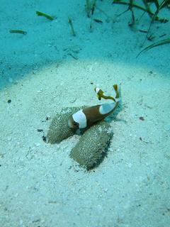 IMG_1963.jpg