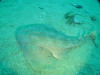 IMG_3094.jpg