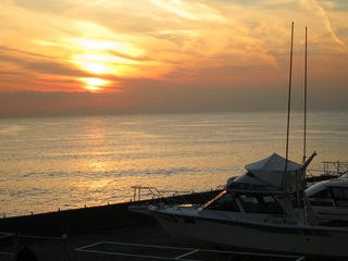 IMG_3446.jpg
