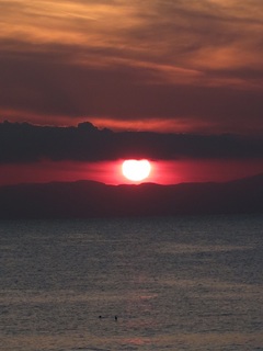 IMG_3462.jpg