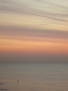 IMG_3514.jpg