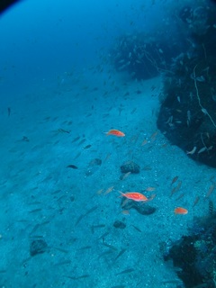 IMG_6862.jpg