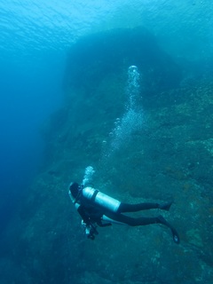 IMG_7604.jpg