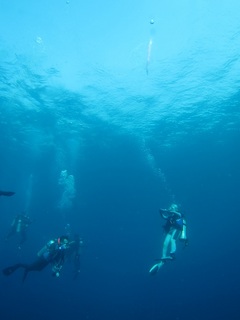 IMG_7616.jpg