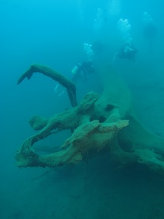 IMG_7709.jpg