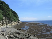 IMG_8116.jpg