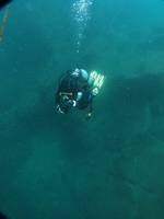 IMG_8655.jpg