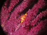 IMG_9619.jpg